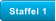 Staffel 1