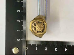 Gefunden wurden mehr als 60 Goldringe sowie Arm- und Halsketten